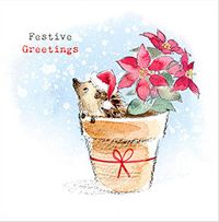 Hedgehog Festive Greetings Christmas Card