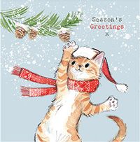 Cat Season's Greetings Christmas Card