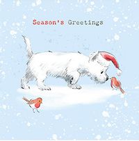 Dog and Robins Season's Greetings Christmas Card