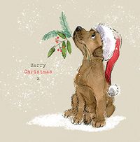 Dog Merry Christmas Card