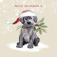 Dog Merry Christmas Cute Card