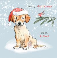 Best Wishes Dog Christmas Card
