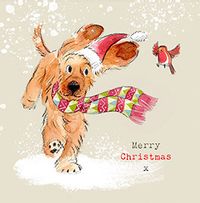Dog and Robin Merry Christmas Card