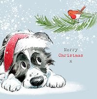 Tap to view Merry Christmas Sheep Dog Card