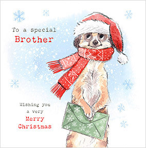 Special Brother Meerkat Christmas Card