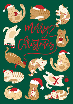Cats and Wool Cute Christmas Card