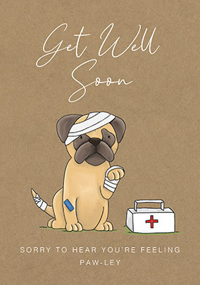 Feeling Paw-ley Get Well Soon Card