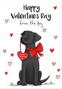 Valentine's Day From the Dog Card