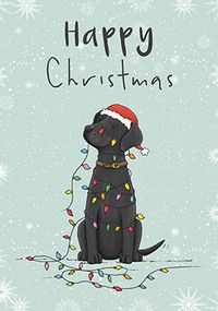 Dog and Christmas Lights Card