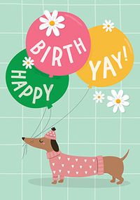 Happy Birthyay Dog Birthday Card