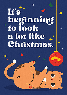 Beginning to look like Christmas Cat Card