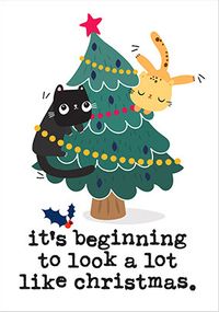 Cats in Christmas Tree Card