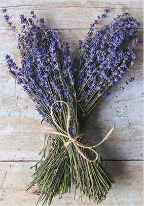 Lavender Card