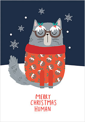 From the Cat Merry Christmas Human Card