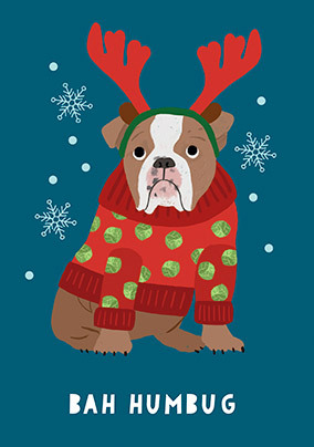Bah Humbug From the Dog Christmas Card