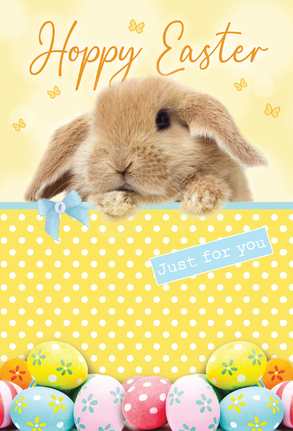 Hoppy Easter Just for You Bunny Card
