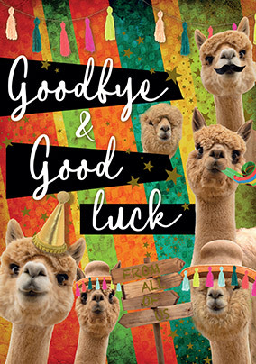 Alpacas Goodbye Good Luck Card