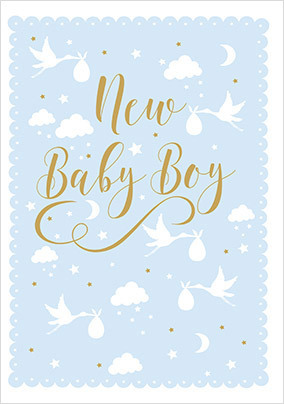 Storks New Baby Boy Card