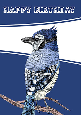 Bluejay Birthday Card