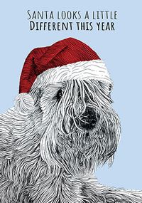 Tap to view Santa Paws Looks Different Christmas Card