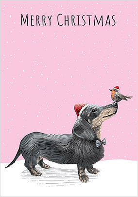 Christmas Dachshund and Robin Card