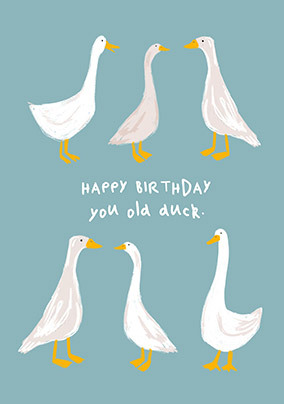 You Old Duck Birthday Card