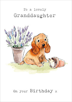 Lovely Lavender Granddaughter Birthday Card