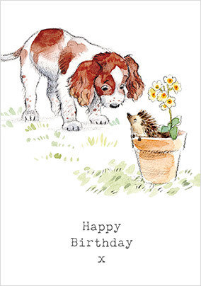 Curious Puppy Birthday Card