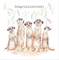 Congratulations Meerkats Card