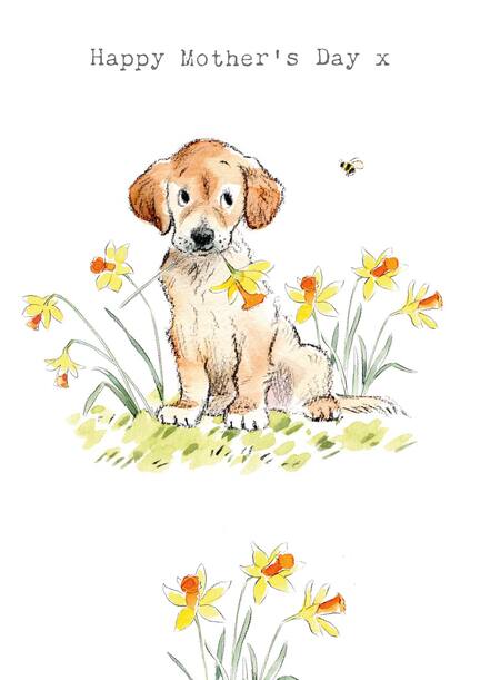 Happy Mother's Day Dog and Daffodils Card