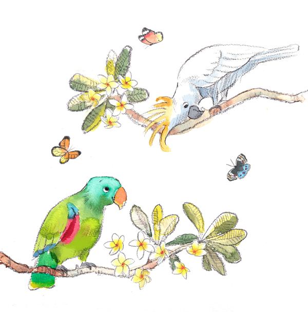 Parrot and Cockatoo Card