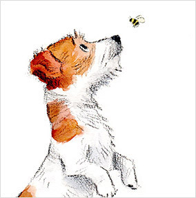 Jack Russel Card