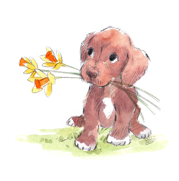 Puppy with Daffodils Card