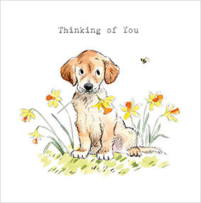 Thinking of You Dog Cute Dog Card