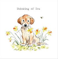 Tap to view Thinking of You Dog Cute Dog Card