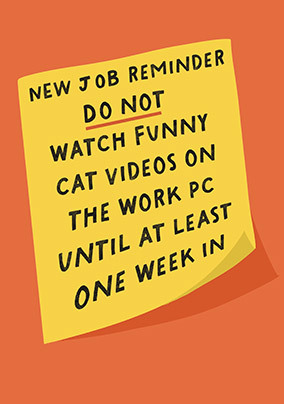 Watch funny sales cat videos
