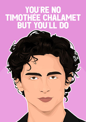 No Chalamet Bit You'll Do Valentine's Day Card