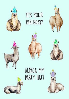 Alpaca My Party Hat Birthday Card