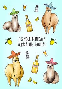 Alpaca the Tequila Birthday Card