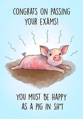 Exams Pig in Sh*t Congratulations Card