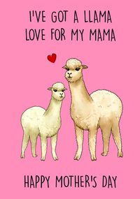 A Llama Love Mother's Day Card