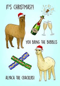 Alpaca the Crackers Christmas Card
