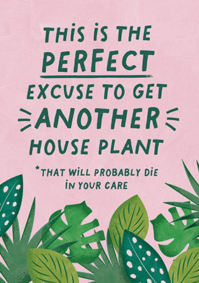 Another Houseplant New Home Card