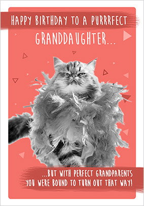 Puurfect Granddaughter Birthday Card