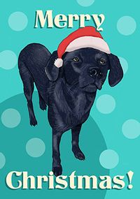 Black Lab Merry Christmas Card