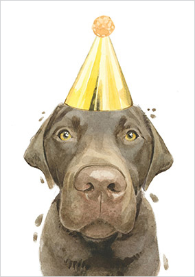 Chocolate Lab in Party Hat Birthday Card