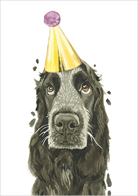 Cocker Spaniel in Party Hat Birthday Card