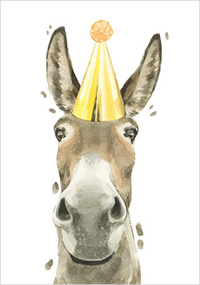 Donkey in Party Hat Birthday Card