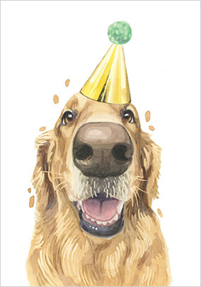 Golden Retriever in Party Hat Birthday Card