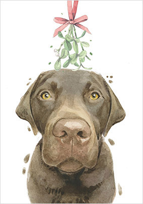 Chocolate Labrador Christmas Card